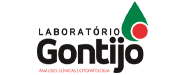 Logomarca da Gontijo