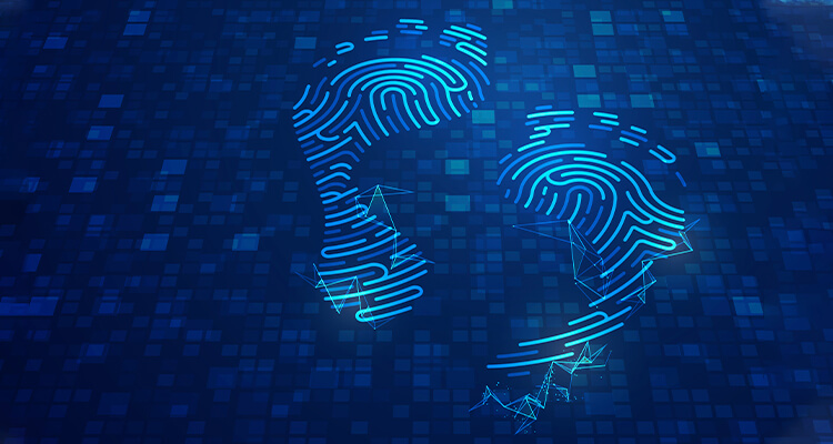  Como proteger sua privacidade online em um mundo de pegada digital: dicas para navegar com segurança e privacidade na era da tecnologia